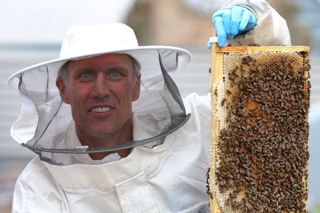 Mark Berry, aka Bez, former member of Manchester band the Happy Mondays, holds a tray of honey bees
