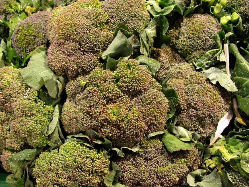 Eating broccoli could help prevent or slow the most common form of arthritis