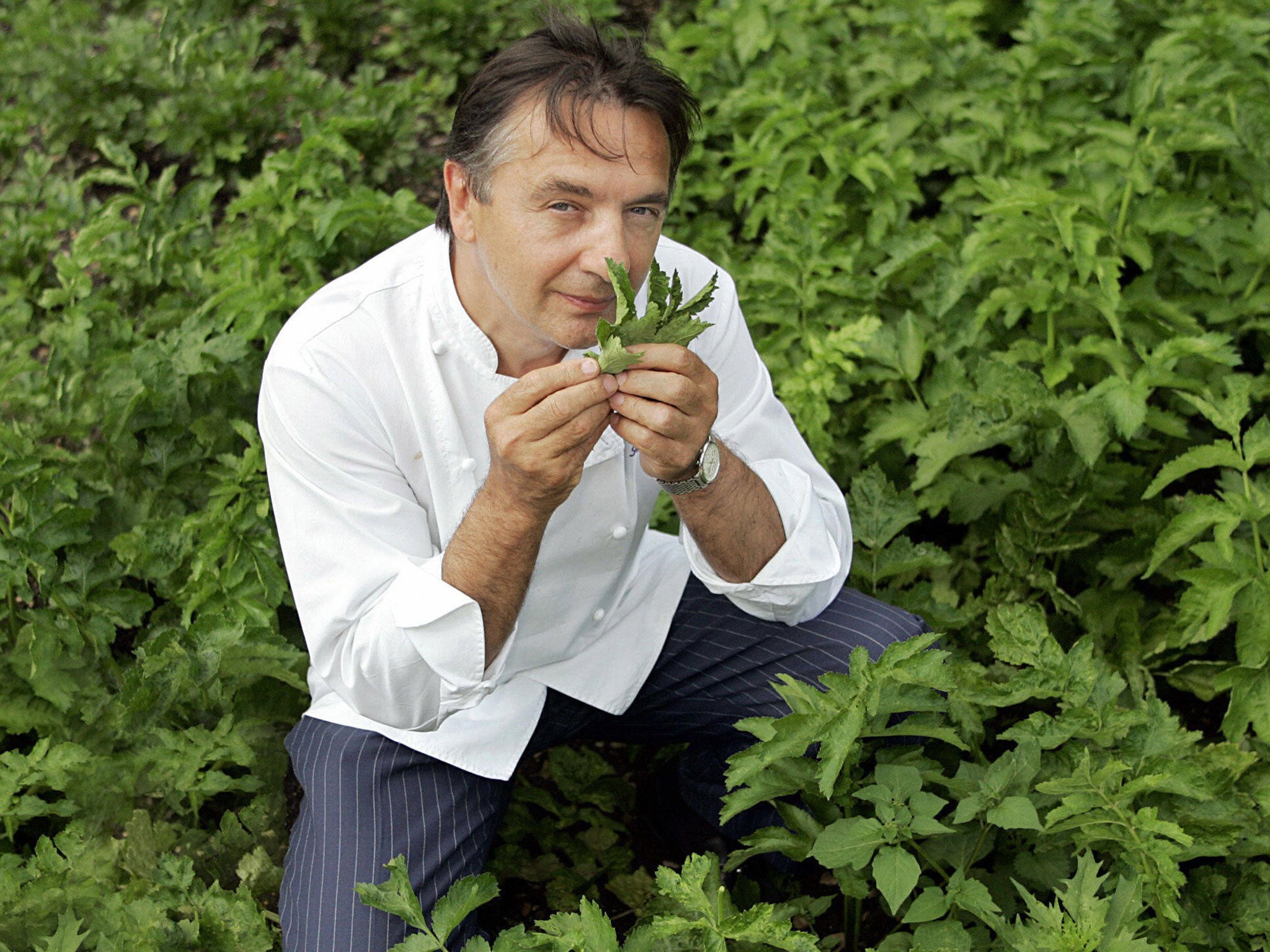 Raymond Blanc has called for gardening lessons to be made compulsory in schools
