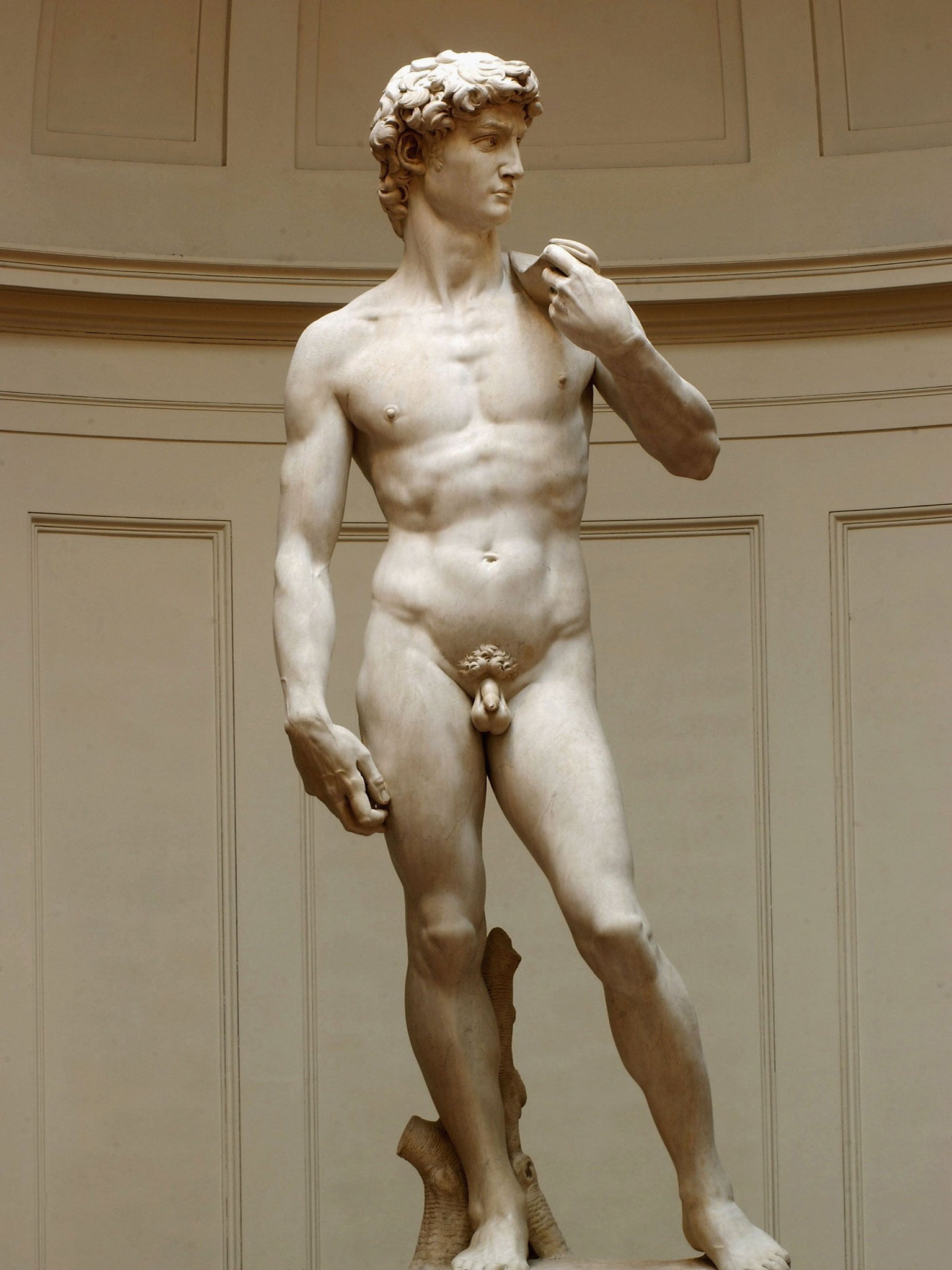 Michelangelo's David may allay countrymen's fears