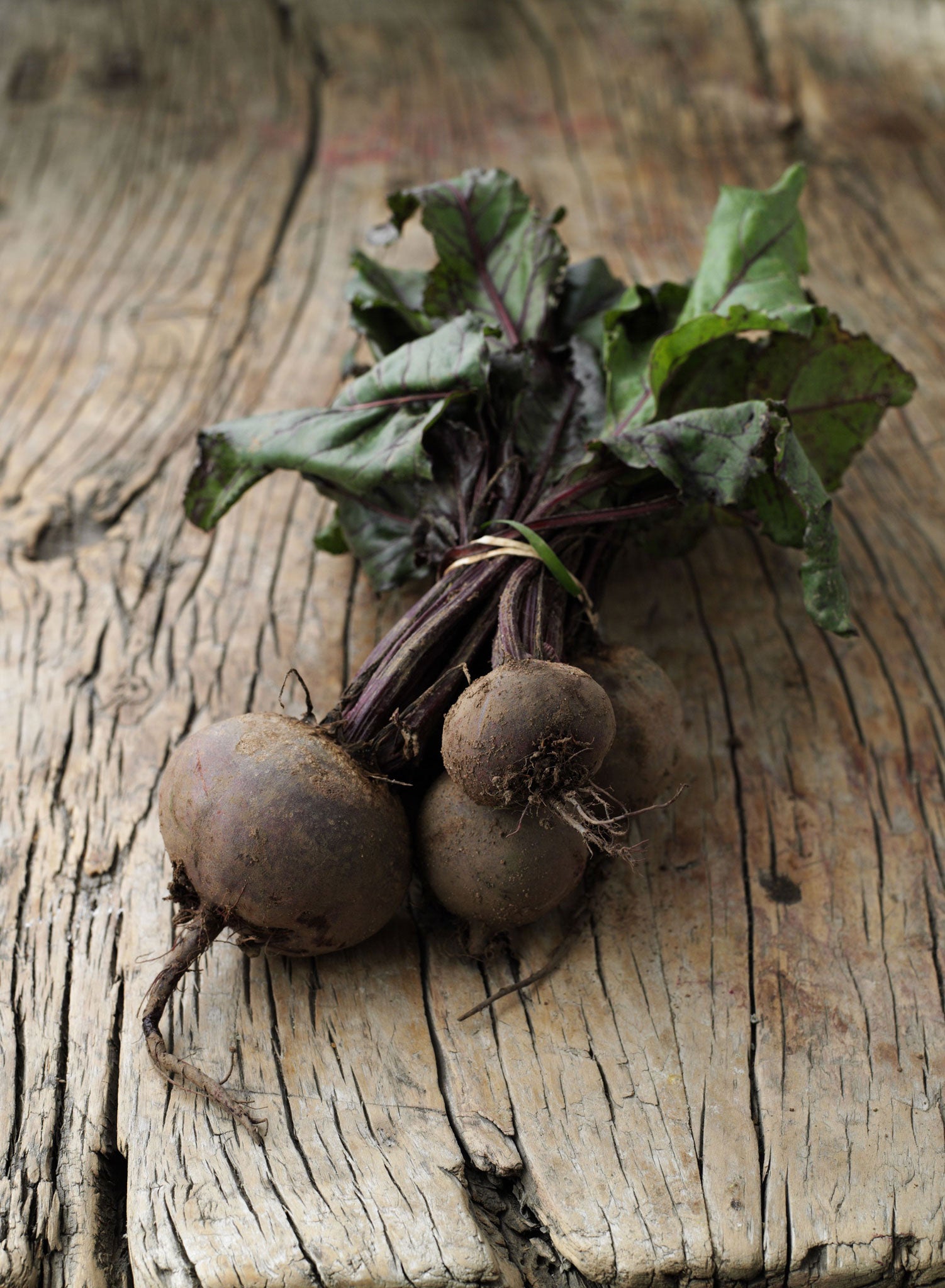 Growing beetroot in straight lines will give you 'the superior self-worth of an established plotholder', says Emma