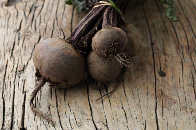 Growing beetroot in straight lines will give you 'the superior self-worth of an established plotholder', says Emma