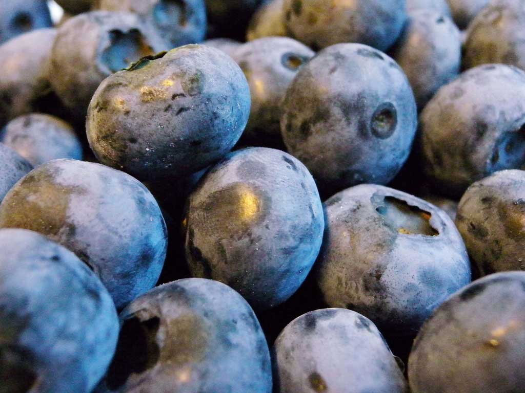 Eating whole fruits such as blueberries can cut the risk of developing type 2 diabetes by 26 percent