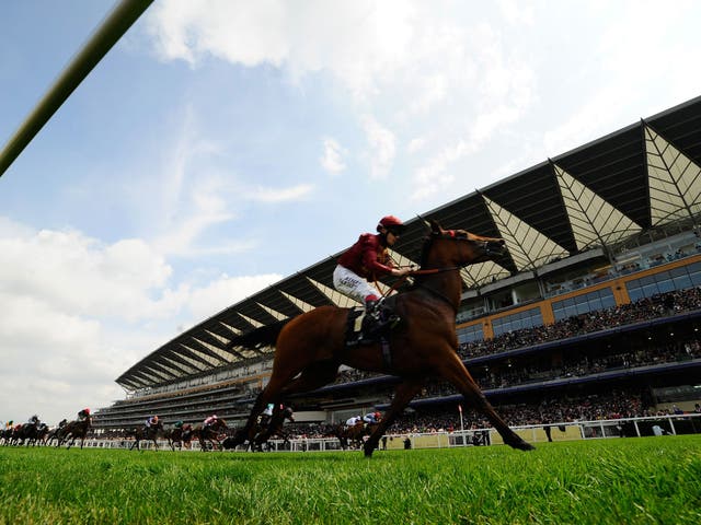 Jamie Spencer rides Kiyoshi to victory the Albany Stakes at Royal Ascot in June