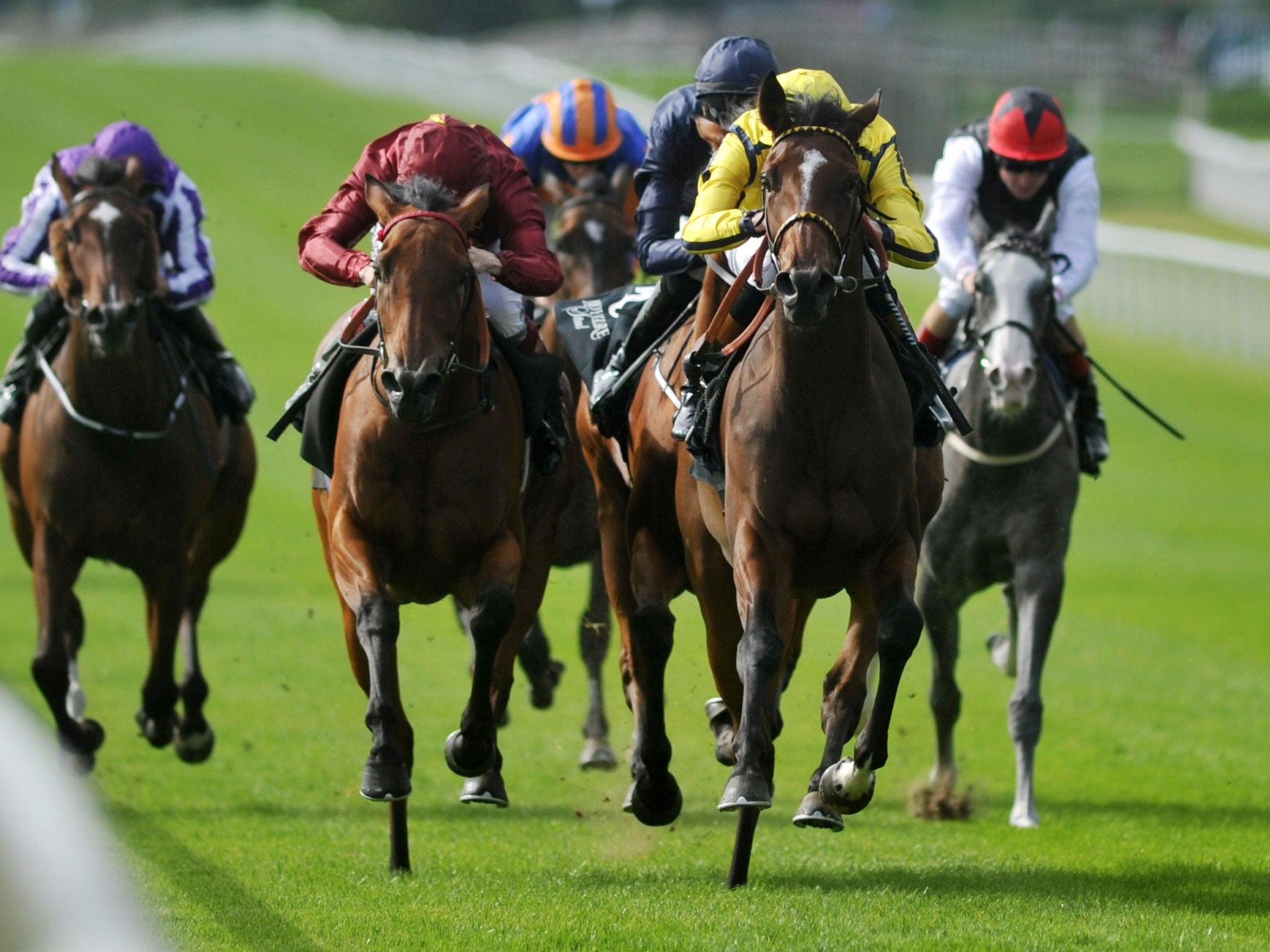 Rizeena (yellow silks) wins the Moyglare Stud Stakes at the Curragh