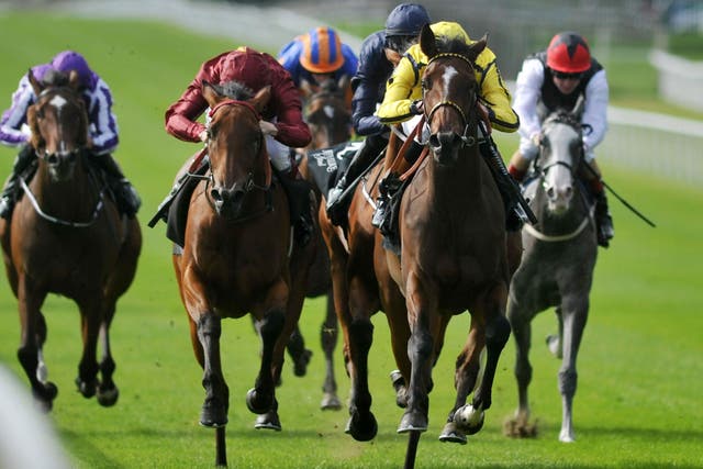 Rizeena (yellow silks) wins the Moyglare Stud Stakes at the Curragh