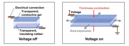 To make the speaker, a membrane of transparent, insulating rubber is sandwiched between two layers of transparent, conductive gel. The electrical connection to the power source is established outside of the active region of the device, where it does not need to be transparent.