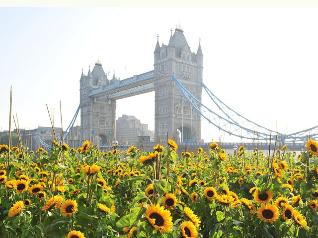 Temperatures are expected to rise to around 28C in central, eastern and southern England