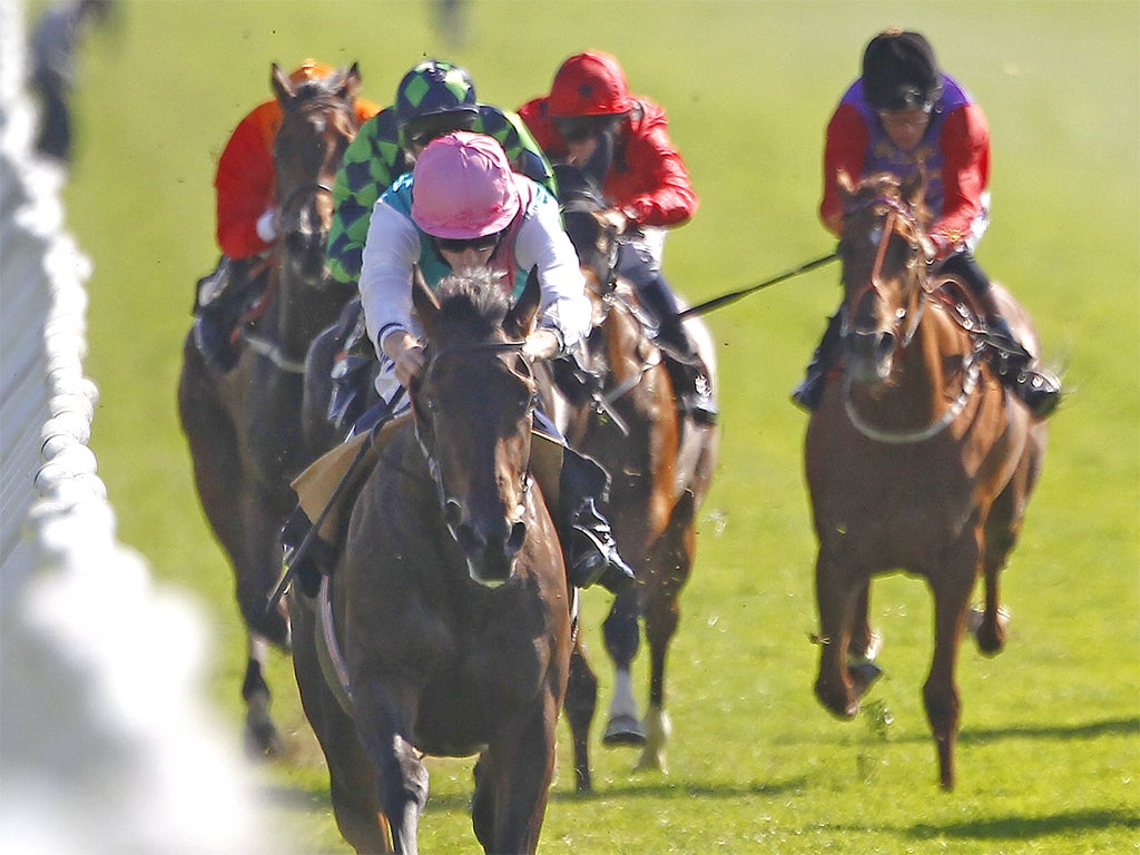 The Sir Michael Stoute-trained Radiator races to a 15-length victory under Ryan Moore at Lingfield on Wednesday