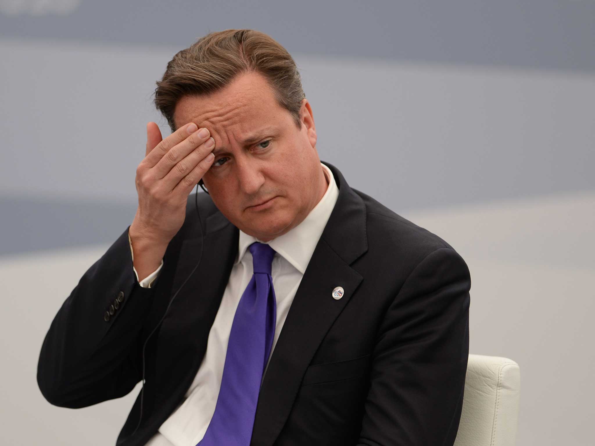 David Cameron at the G20 summit