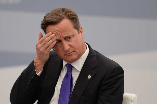 David Cameron at the G20 summit