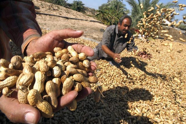 Shelling out: Investors aren't paying peanuts so they should expect a decent performance