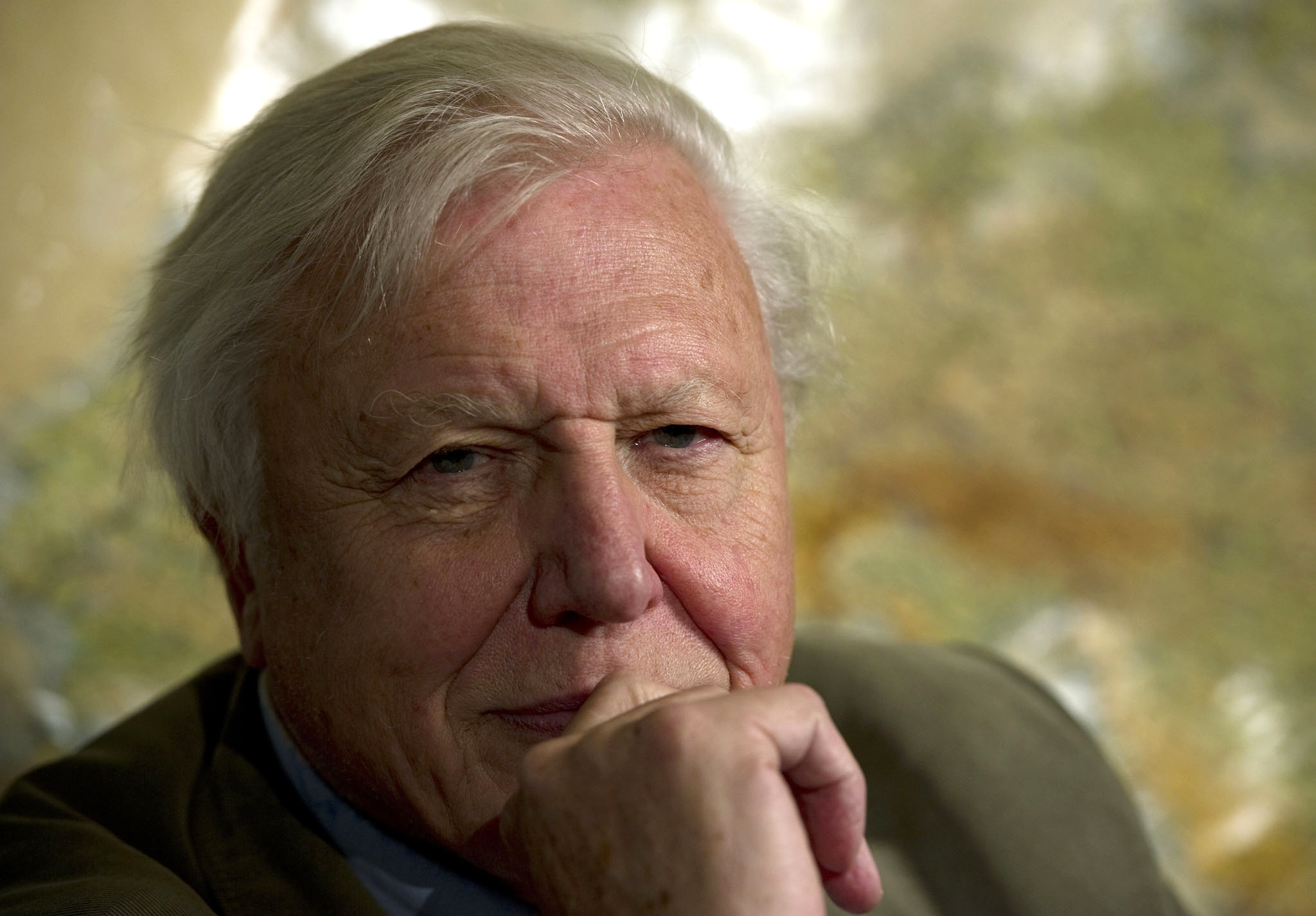 David Attenborough has been voted the nation's most trustworthy individual