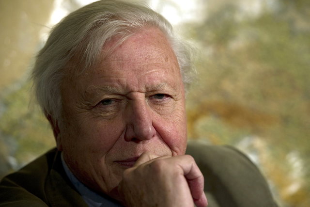 Sir David Attenborough says humans have stopped evolving due to advancement in survival rates.