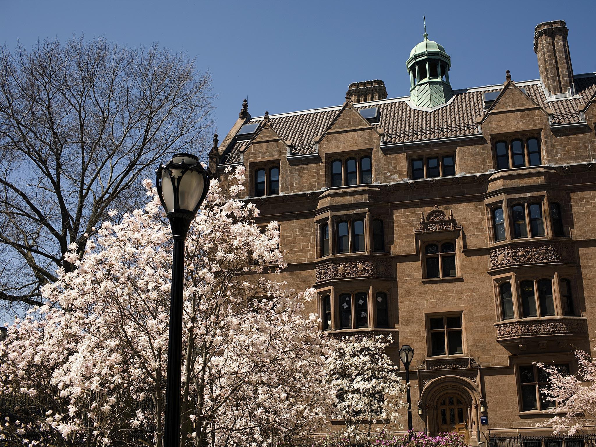 New Haven is home to Yale university as well as excellent museums and galleries