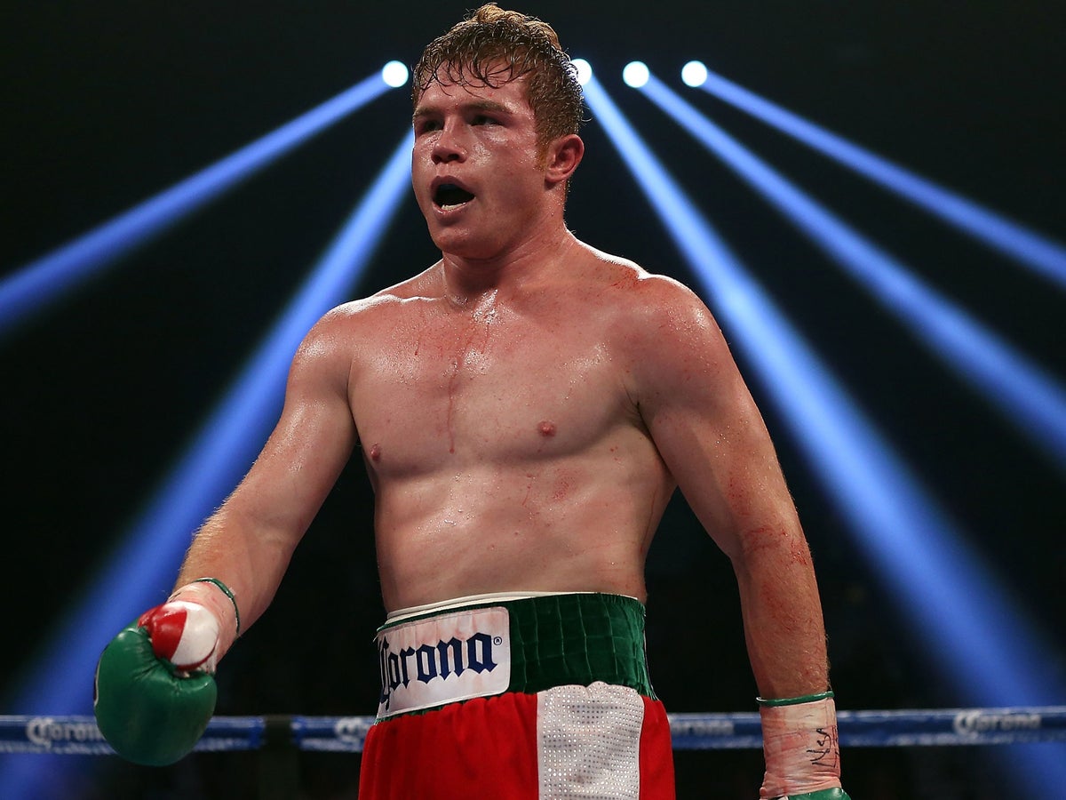 Floyd Mayweather v Saul Alvarez preivew: How ginger kid went from Mexico's to the MGM in Vegas | The Independent | The Independent