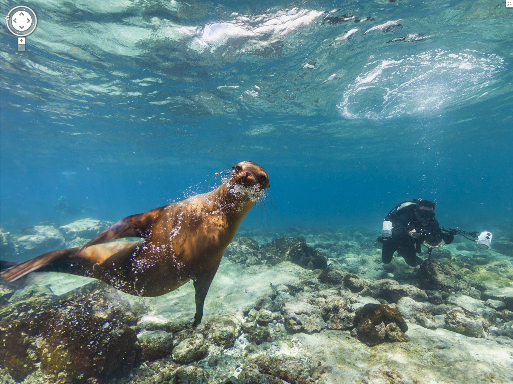 The Galapagos Islands have been put on Google Street View for the first time, allowing users to 'step into Darwin's shoes'