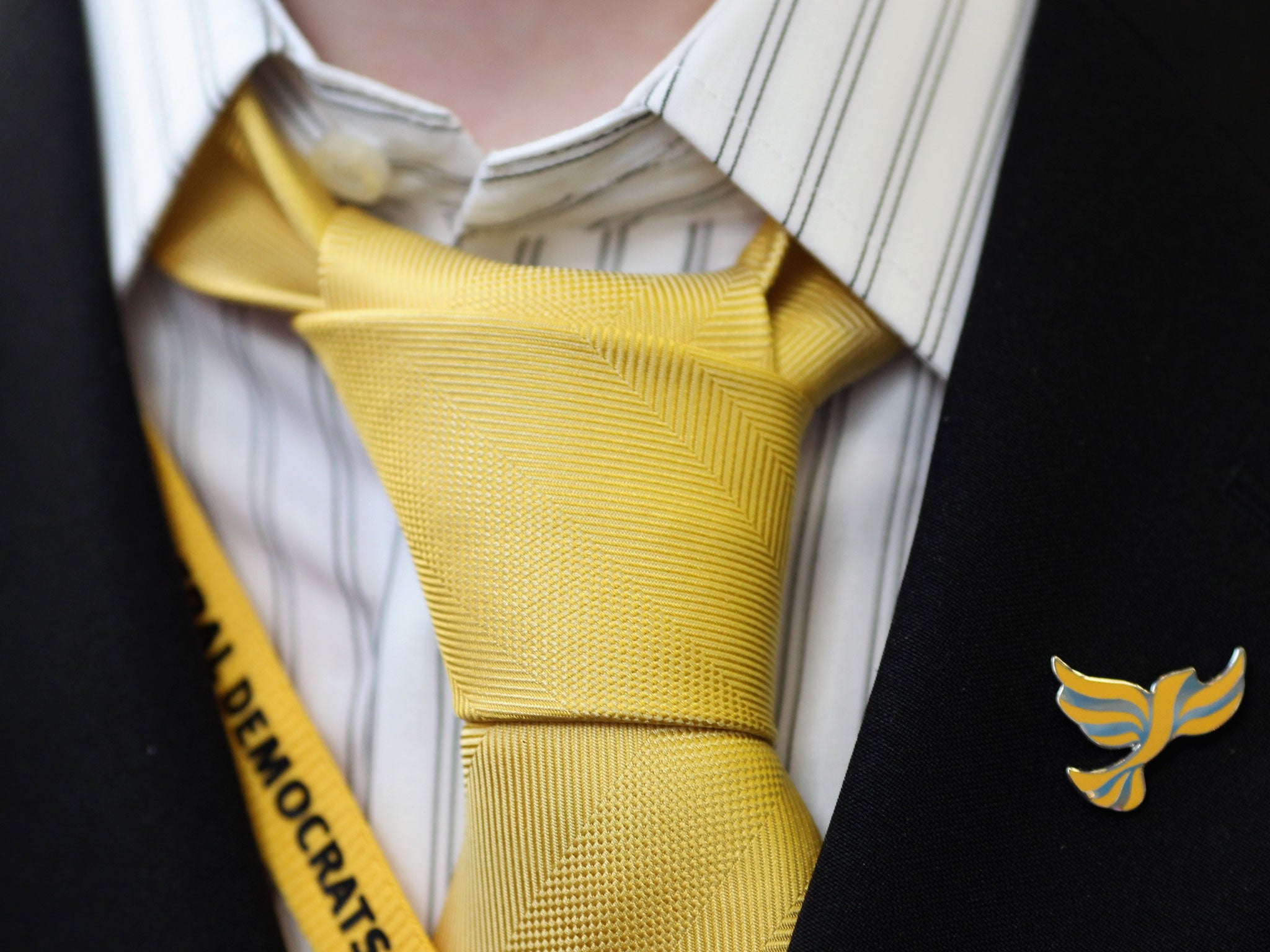 A party member wears a Liberal Democrat badge during the Liberal Democrat Autumn Conference on September 18, 2011 in Birmingham, England.