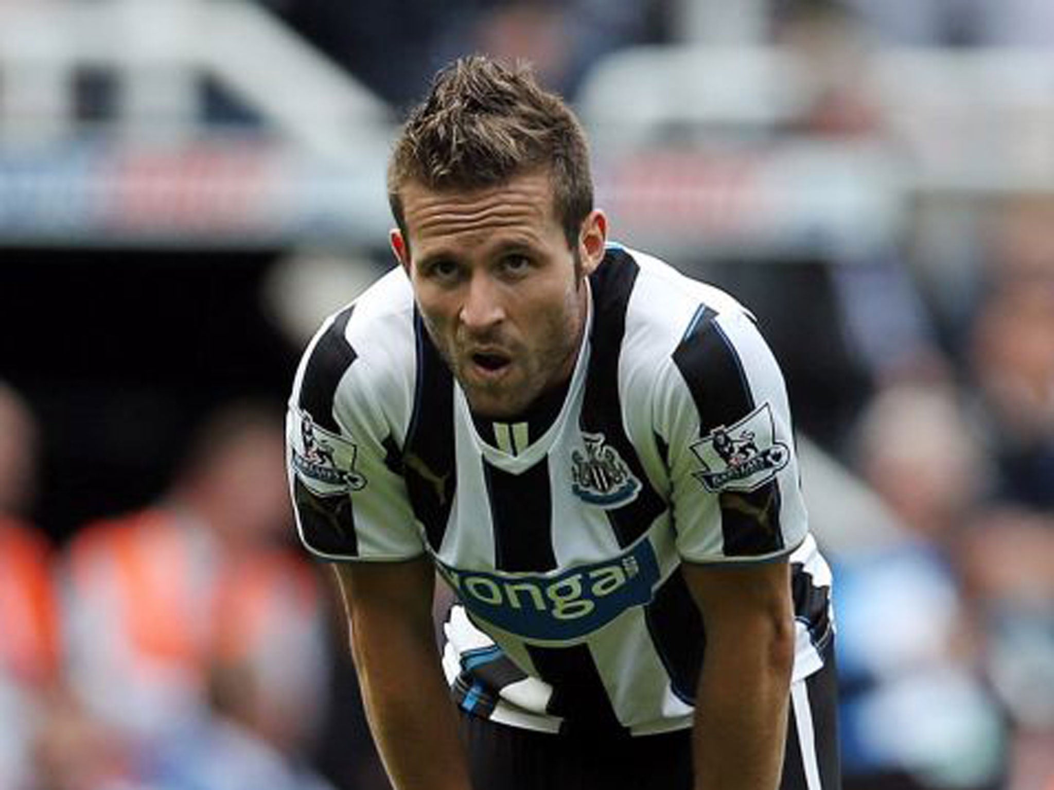 Yohan Cabaye will make his first start of the season today