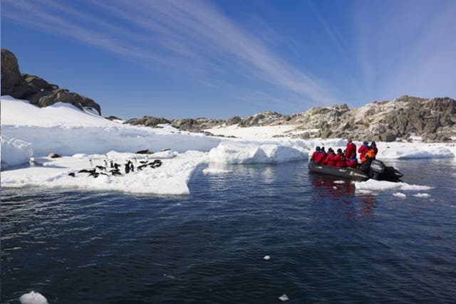 Icing on the cake: Antarctica is the trip of a lifetime