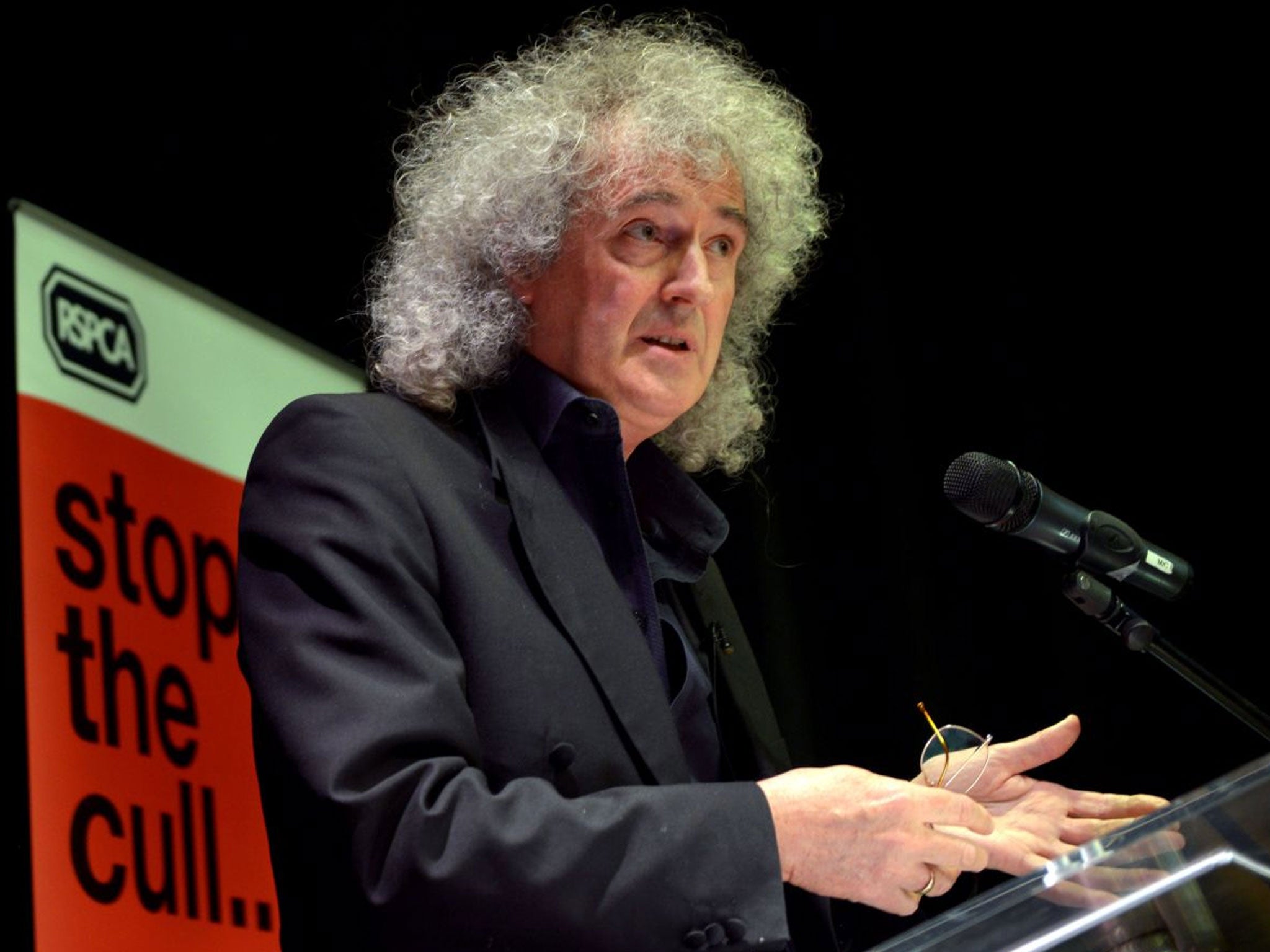 Brian May at the launch of the anti-cull campaign