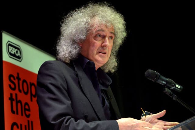 Brian May at the launch of the anti-cull campaign