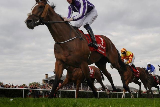 Leading the home: Leading Light, ridden by Joseph O’Brien for his father, Aidan, keeps the field comfortably at bay as he wins the St Leger at Doncaster