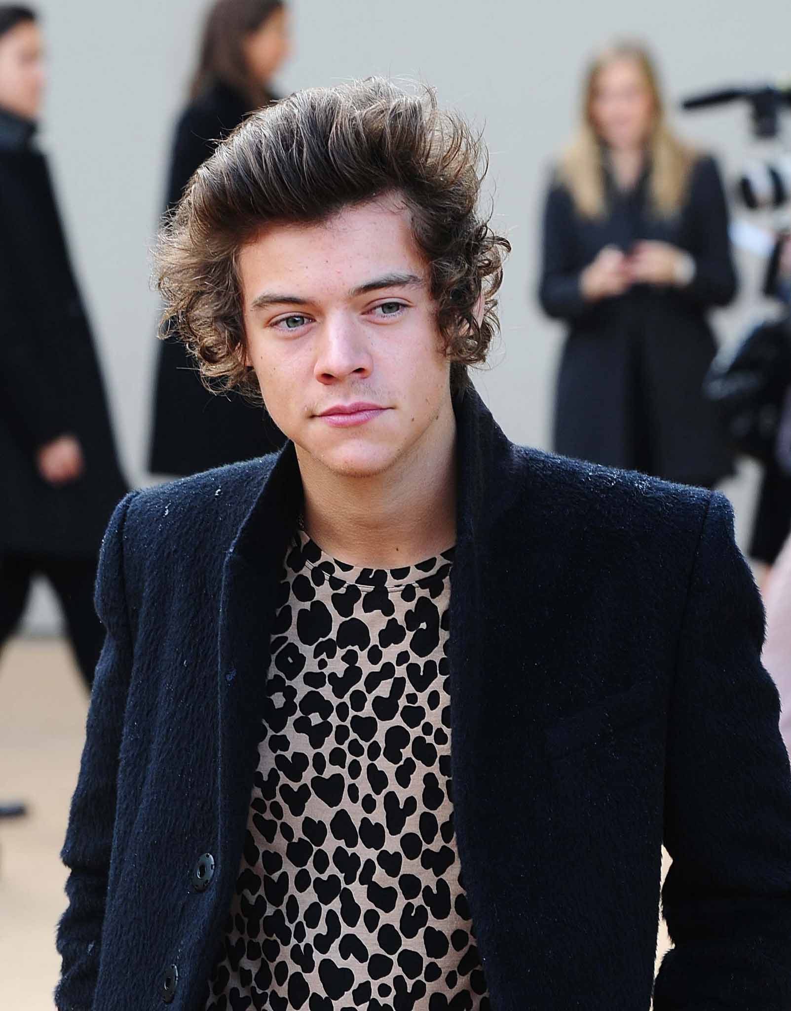 One Direction star Harry Styles who says he has no plans to follow his pal Cara Delevingne down the catwalk.