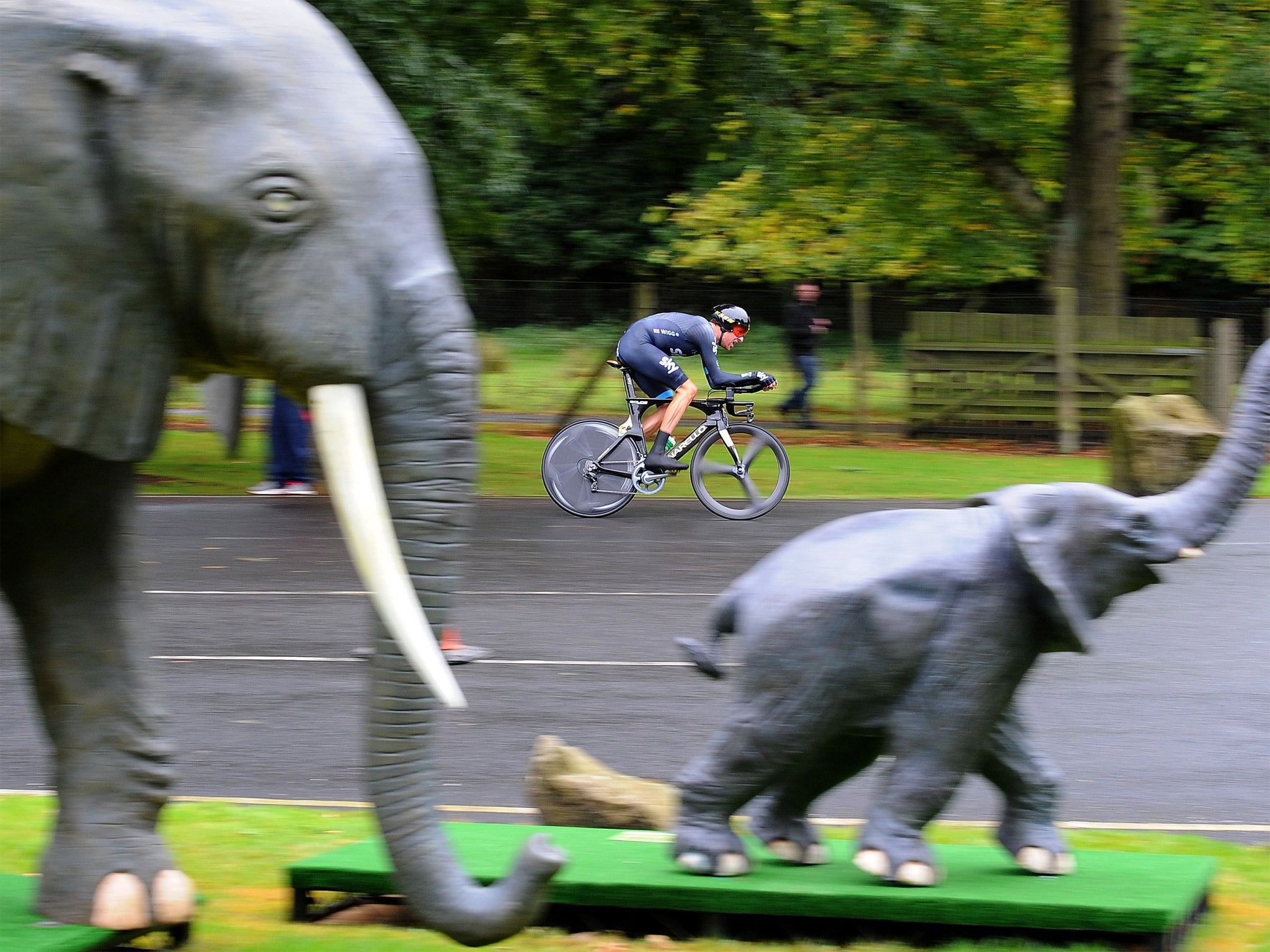 Bradley Wiggins enters Knowsley Safari Park on his way to winning the time trial