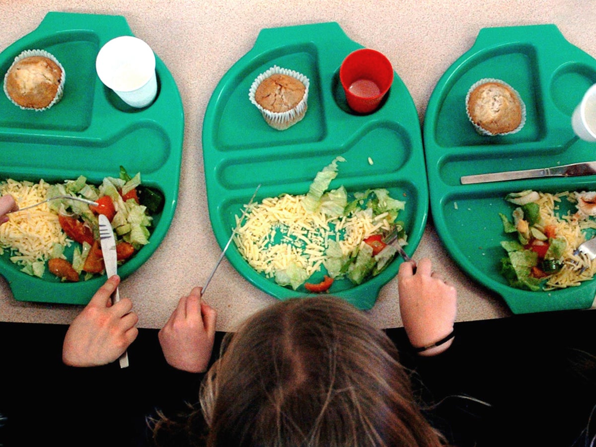 Tory Mps Block Plan To Extend Free School Meals Over Holidays The Independent
