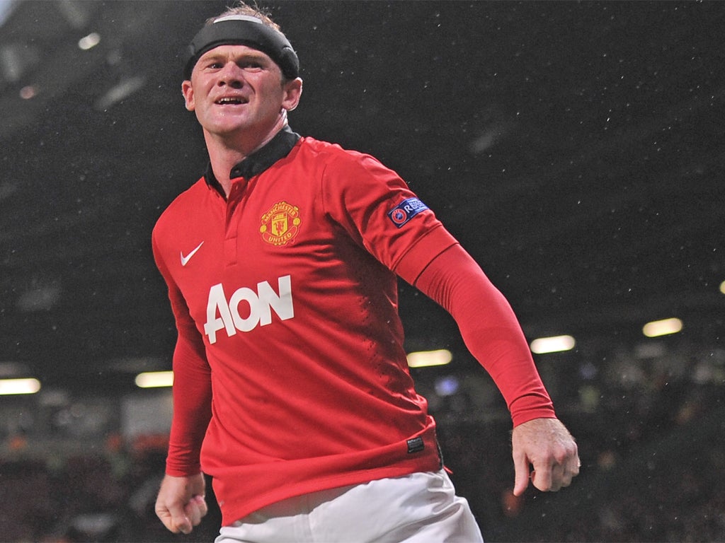 Wayne Rooney says there is no pecking order with his ‘great friend’ Robin van Persie