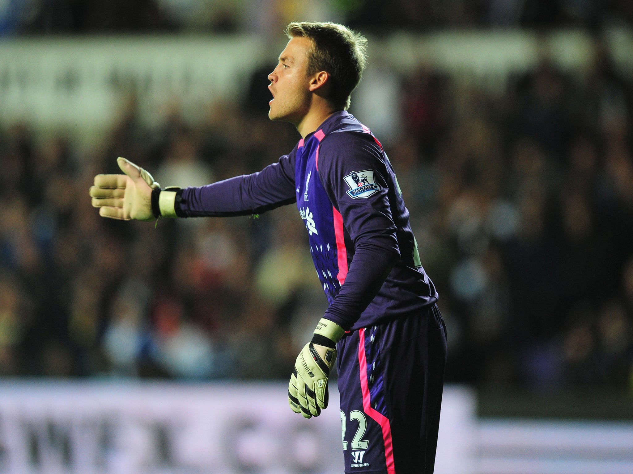 Mignolet has impressed since taking over from Pepe Reina in the Liverpool goal