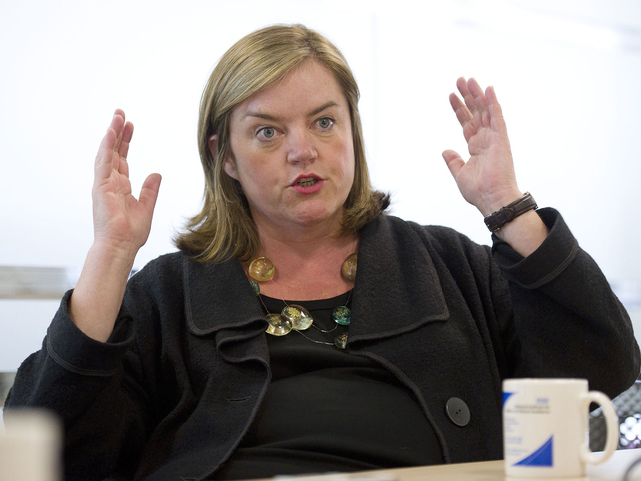 McBride admits that in 2005 he 'orchestrated what looked like a briefing war' between Clarke and a prominent civil servant, Louise Casey (pictured)