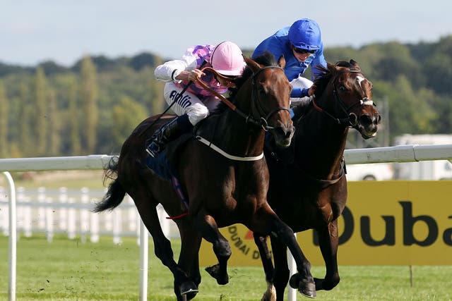 Tales Of Grimm (left), ridden by Ryan Moore, sinks Godolphin's French Navy at Newbury 