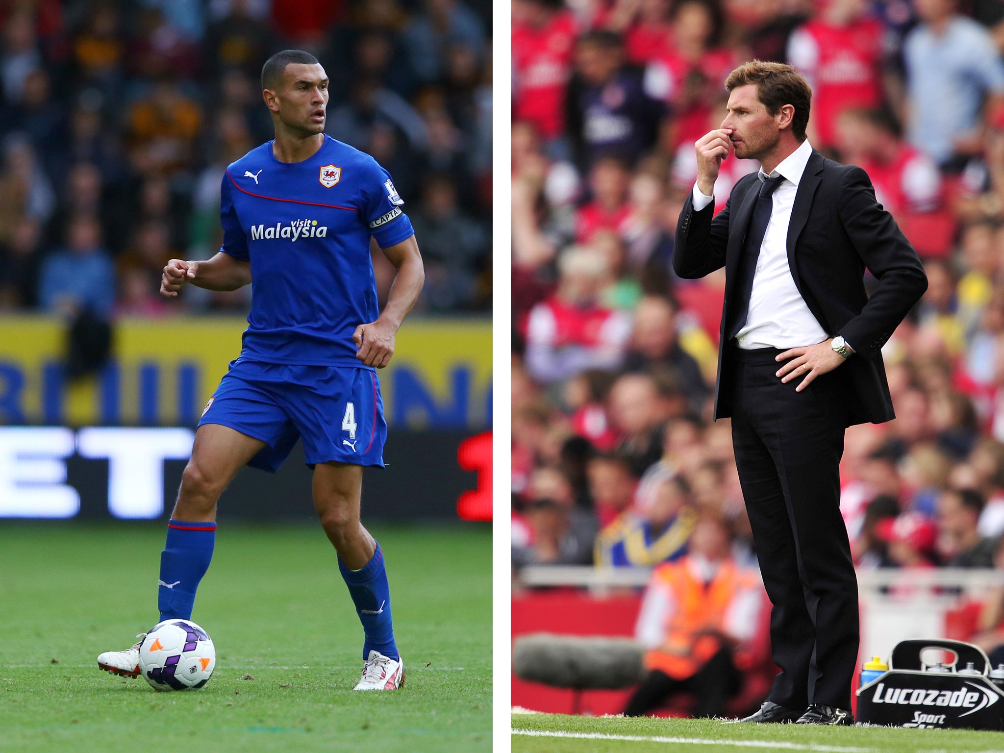 Steven Caulker was allowed to leave Tottenham and join Cardiff by Andre Villas-Boas