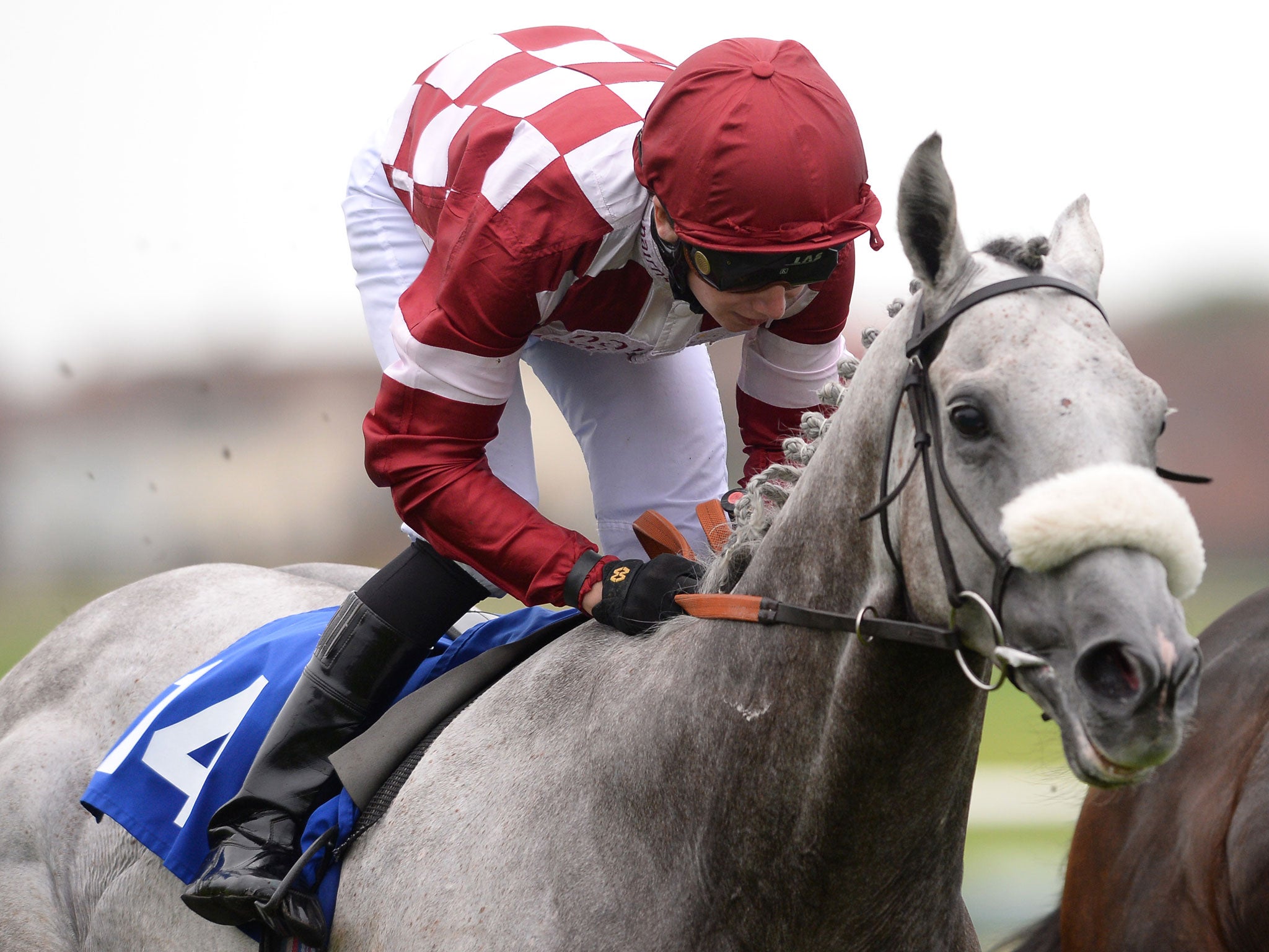 Oisin Murphy rides Silver Rime to victory on Saturday, one of four wins