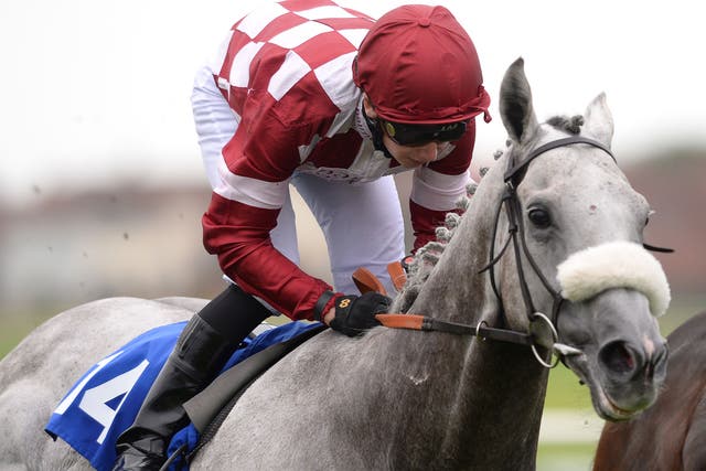 Oisin Murphy rides Silver Rime to victory on Saturday, one of four wins