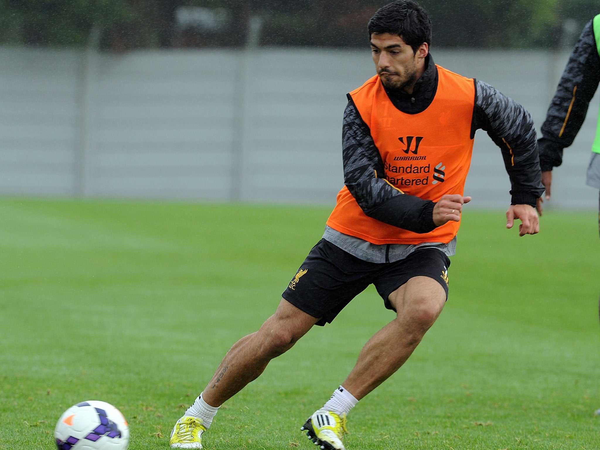 Luis Suarez in training for Liverpool last week