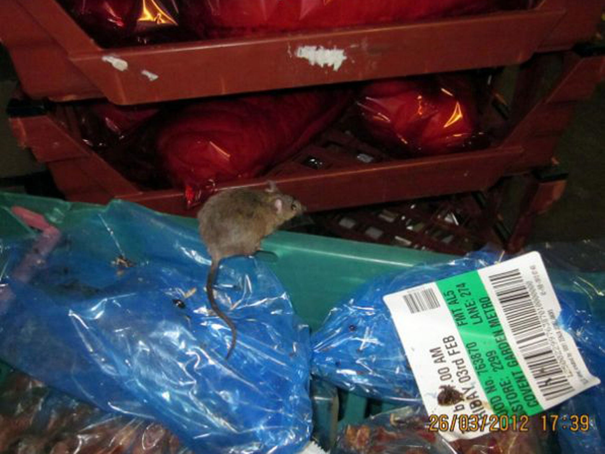 Tesco’s well-fed ‘super mouse’ was nearly double the size of a standard mouse
