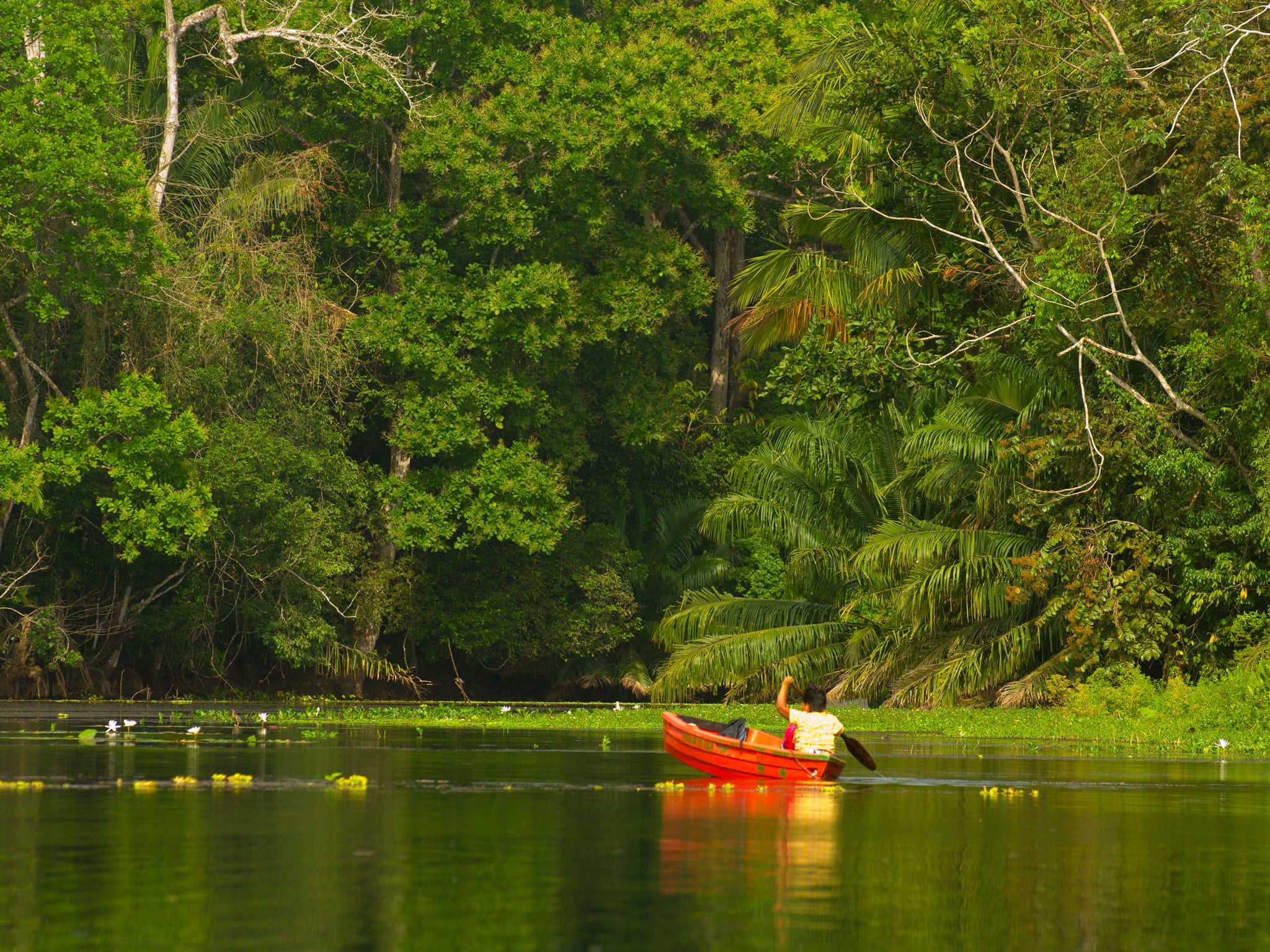 Canal-hopping: Soberanía National Park