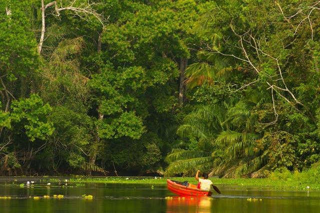 Canal-hopping: Soberanía National Park