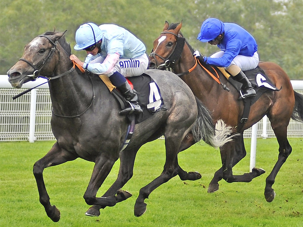 Grandeur wins the Foundation Stakes at Goodwood