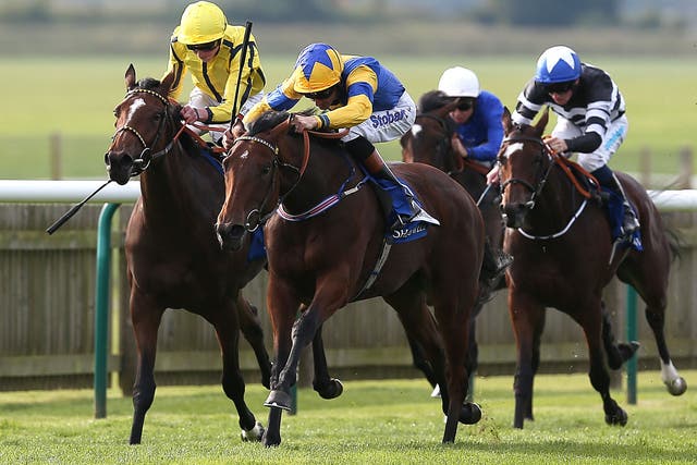 Chriselliam swoops under Richard Hughes to beat Rizeena (left) in the Group One Fillies' Mile at Newmarket 