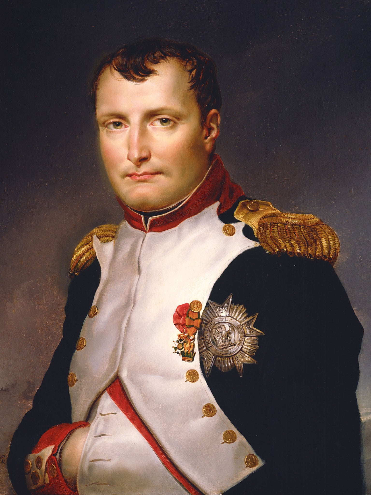 The work, by Jacques-Louis David, shows Napoleon in his National Guard uniform