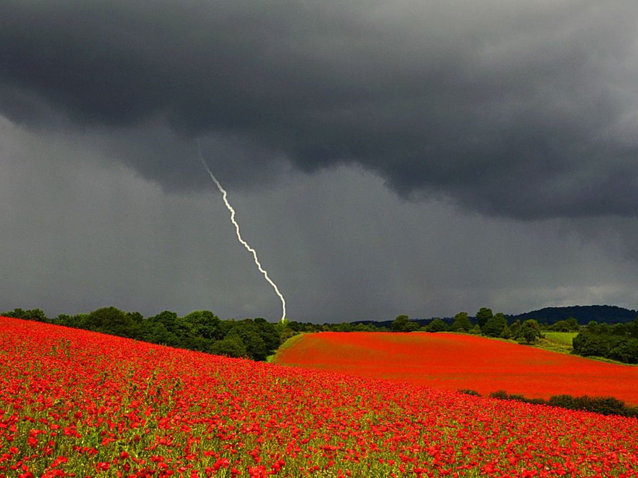 2012 entries: Danny Beath