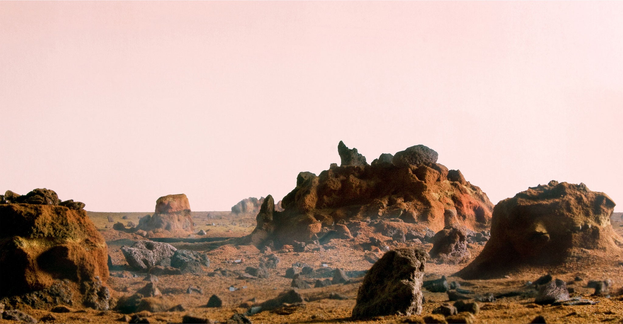 Paprika Mars #1 took months of labour