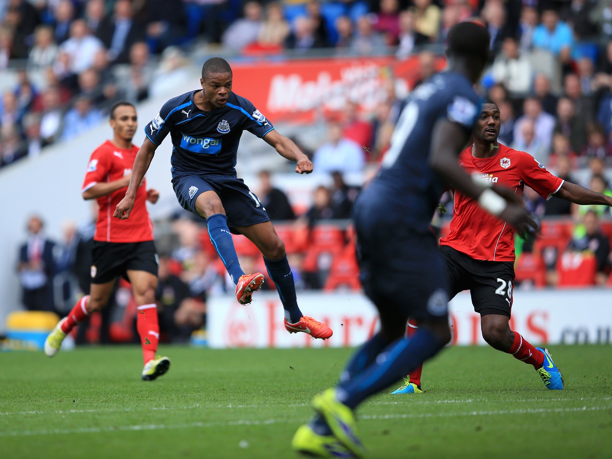Loic Remy has been on fire for Newcastle