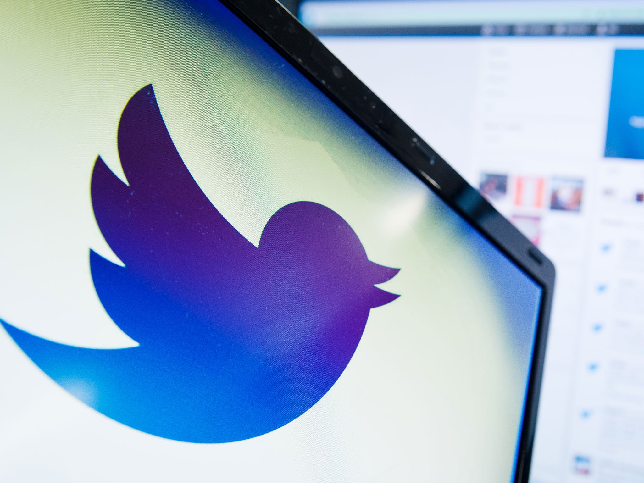 Reembolso Sanción Tiza Shares in defunct retailer Tweeter skyrocket 1,800% after investors confuse  it with social media giant Twitter | The Independent | The Independent