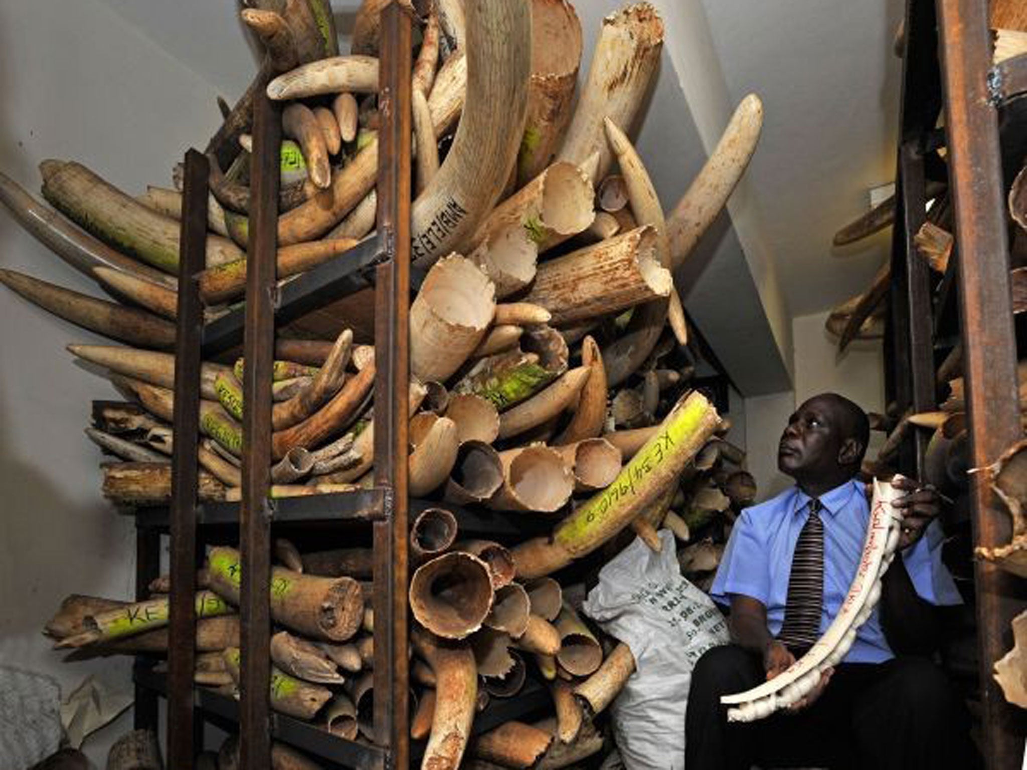 Blood money: Attacks such as last month’s Westgate mall siege in Nairobi are funded by the trade in ivory
