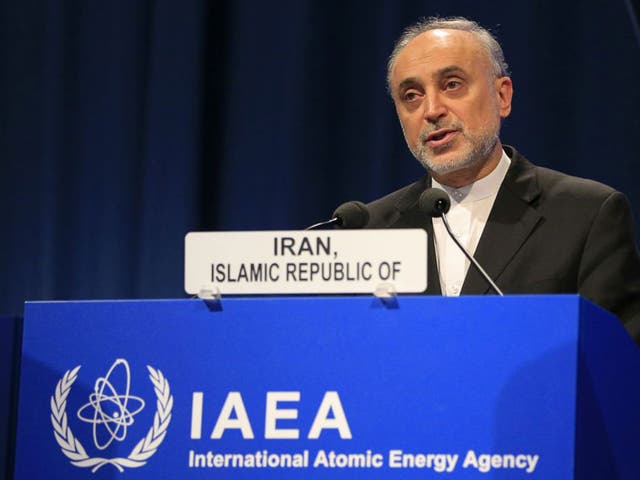 Iran's Atomic Energy Organization president Ali Akbar Salehi said authorities had made the arrests at "exactly the right time."